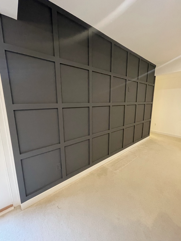 Finished decorative matte-black grid feature wall
