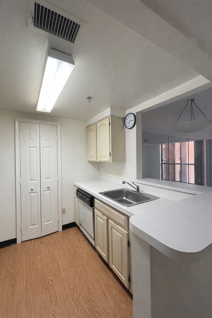 Original condominium kitchen before demolition